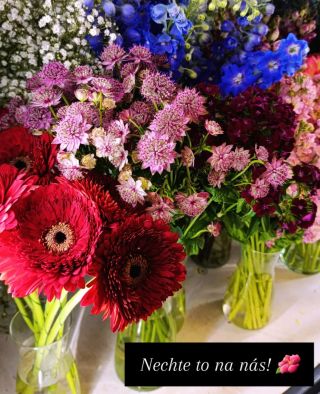 NECHTE TO NA NÁS! 🌺❤️ Chcete někoho obdarovat květinou, ale nevíte co vybrat?! Žádné strachy! Proto jsou tu...