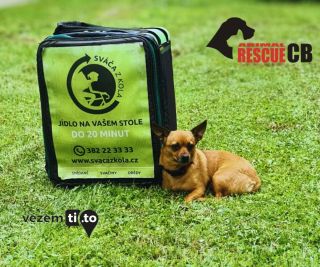 Již to bude pár měsíců, kdy jsme k nám do týmu přivezli nový přírůstek. Díky společnosti @animalrescue_cb , která...